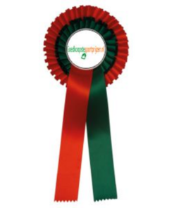 Rozet 2 rings met eigen logo/afbeelding