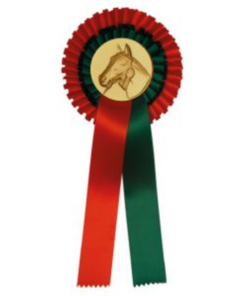 Rozet 2 rings met afslag Paardenhoofd