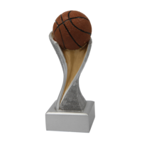 Basketbal, FG 4131/FG 4133