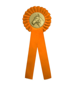 Rozet 1 rings met afslag Paardenhoofd
