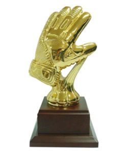 Keeperhandschoen Z 100